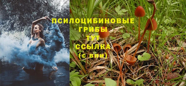 шишки Армянск