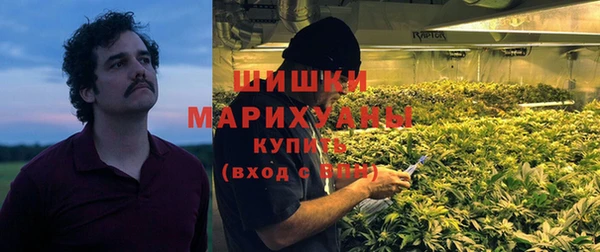 шишки Армянск