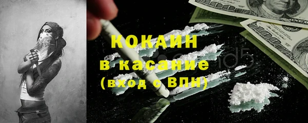 шишки Армянск