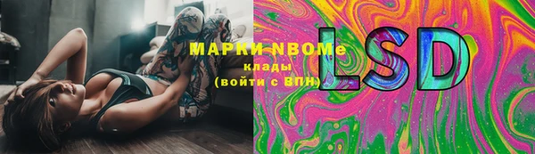 шишки Армянск
