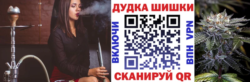 что такое   Троицк  Бошки Шишки ГИДРОПОН 